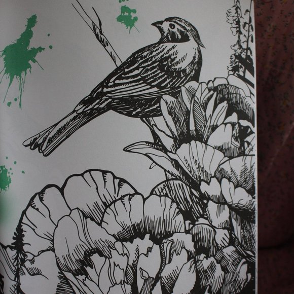 Inspired Nature Adult Coloring Book New 2015 - Picture 6 of 6